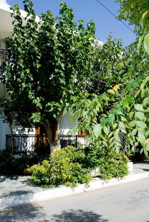 Oasis Studios Палиохора Екстериор снимка